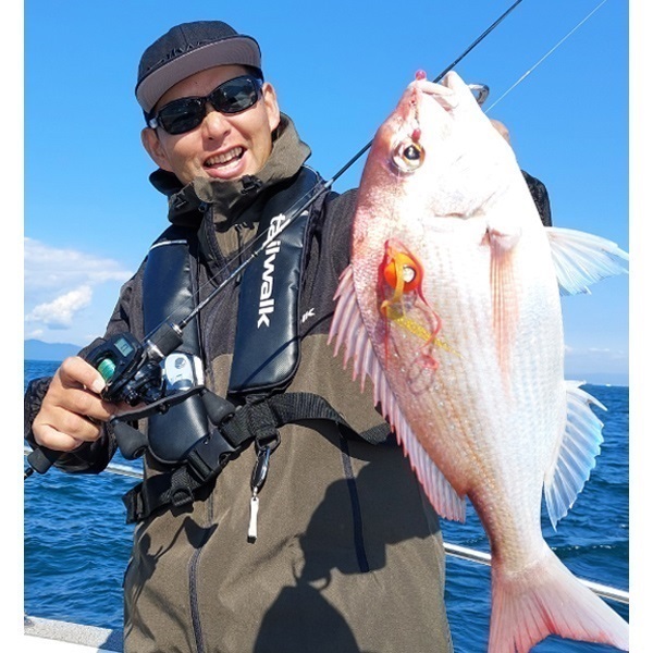 ヴィレイヤーDG